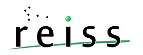 Logo REISS